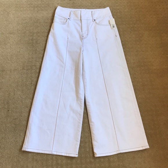 Joie Gadina ankle Wide-leg NWT size-29 No belt - Picture 3 of 9